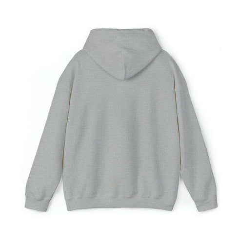 Women Hoodies Women Heavy Blend™ Hooded Sweatshirt Warms hoodies